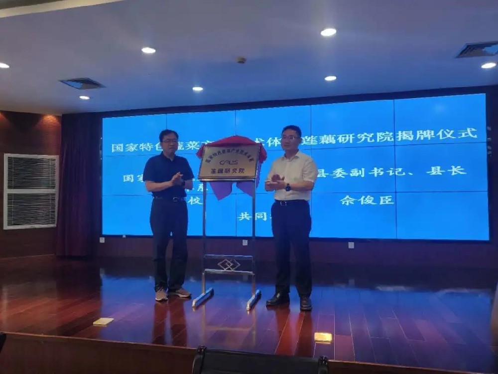 金鼎国际(中国区) - 官方网站