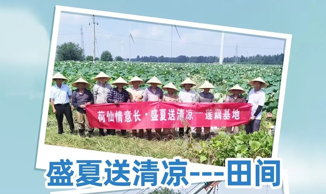 金鼎国际(中国区) - 官方网站